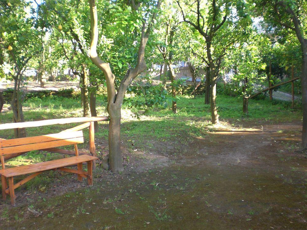 Chalet Paradiso Sorrent Exterior foto